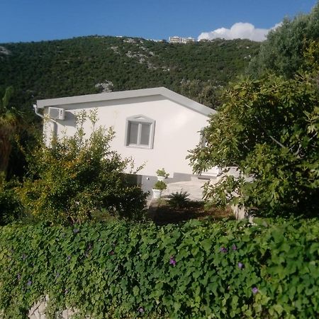 Apartamento Blue Horizon Dobra Voda Exterior foto